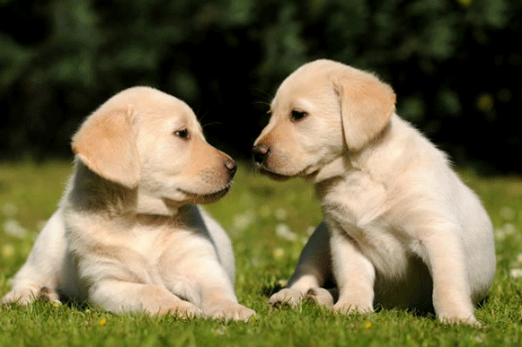 1496648586634112.gif 3456dc.gif